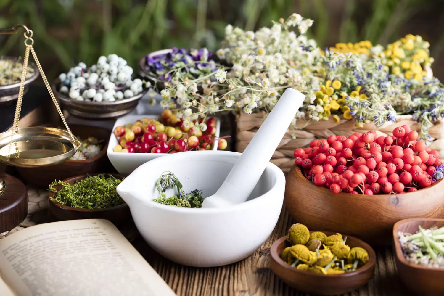 phytotherapie